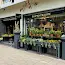 BlumenTräume