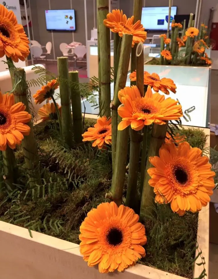 Eventfloristik Blumenträume Dresden