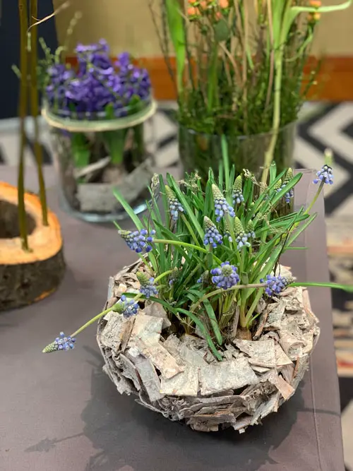 Fruehlingserwachen Workshop Blumentraeume Dresden